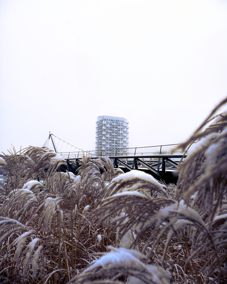 K-Tower
